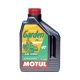 MOTUL Garden 4T 10W-30 2l