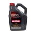 MOTUL 8100 POWER 5W-50 5l (Sport 5W-50)