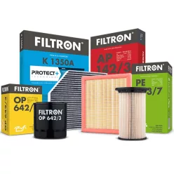 FILTRON Levegőszűrő (AM462)
